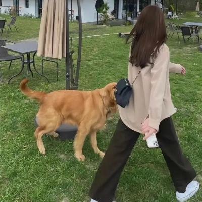 奔爱